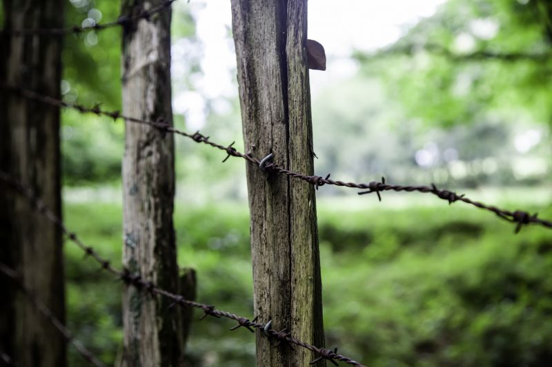 Barb Wire Fencing Repair