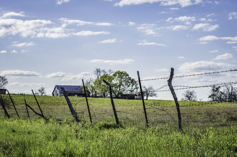 Barb Wire Fencing Repair detail