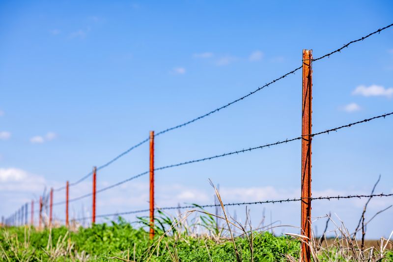 Barbed Wire Fence Replacement detail